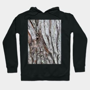 nature photo tree bark Hoodie